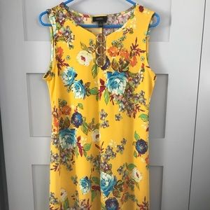 DressBarn Spring Dress, NWT, Size L.